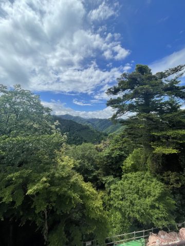 2024年9月16日【速報】👺🏔️🐙